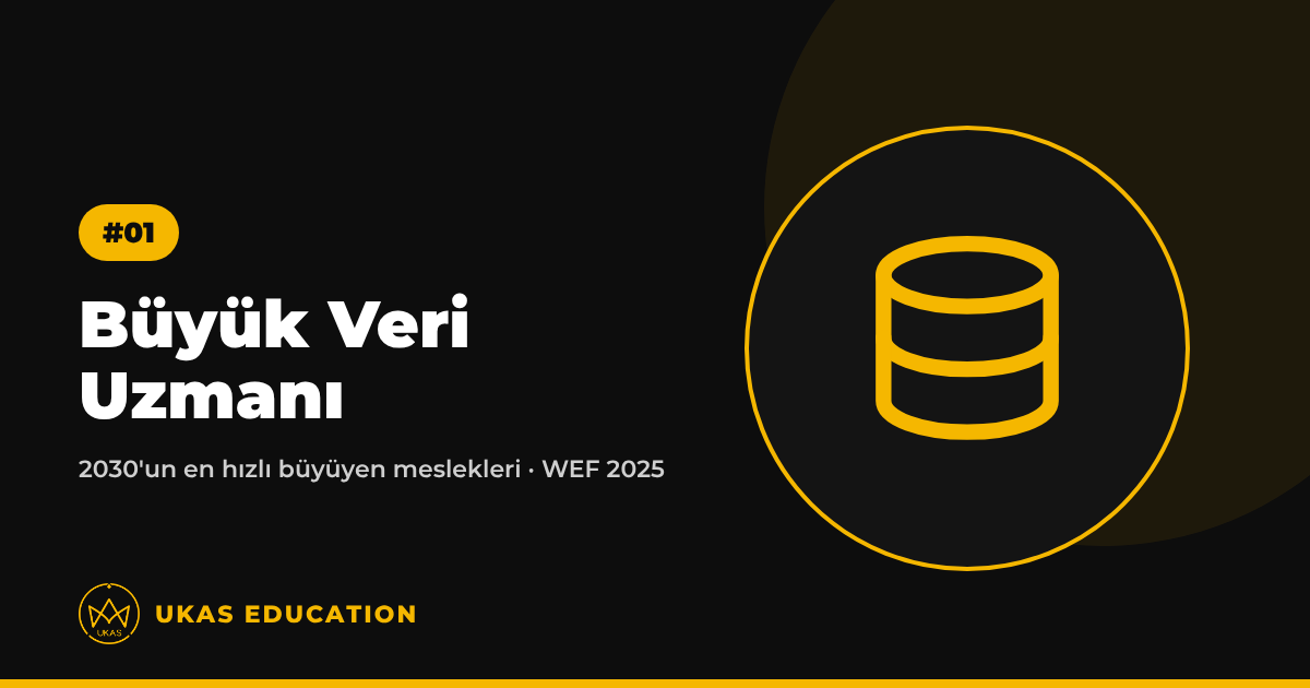 Büyük Veri Uzmanı – UKAS Education